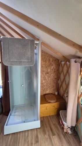 a room with a shower in a tiny house at Yourtes insolites in Querrien