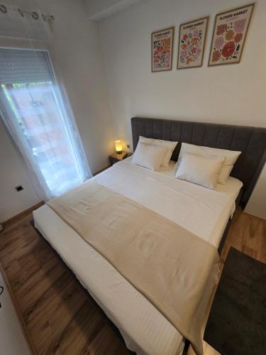 Apartman TARA
