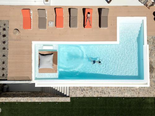 an overhead view of a swimming pool with a dog at Villa Yasemin - Mykonos Paradise - Views - Pool - Large Garden in Kalafatis