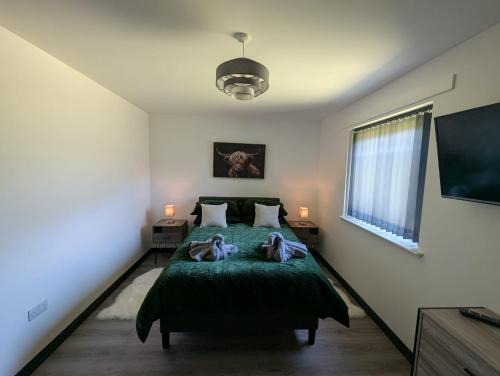 a bedroom with a green bed with two people on it at Wee Catriona in Brodick