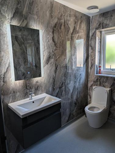 a bathroom with a sink and a toilet at Wee Catriona in Brodick