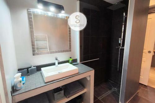 a bathroom with a sink and a shower at Côté Calade Arles Centre in Arles