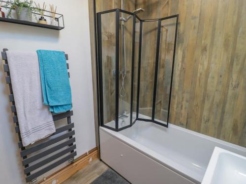 a bathroom with a shower and a sink at 41 St James Street in Narberth