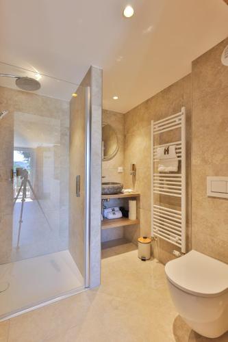 a bathroom with a toilet and a shower at Domaine Le H in Munster