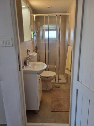 a bathroom with a shower and a sink and a toilet at Macmalić in Zbičina