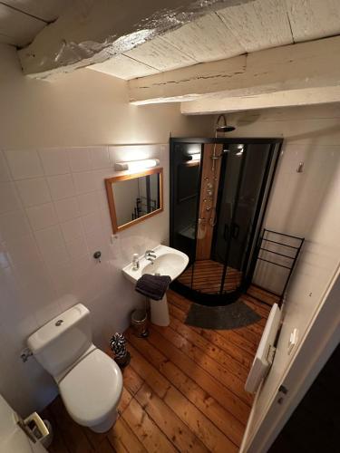 a bathroom with a toilet and a sink at Le Nid Douillet in Chirac
