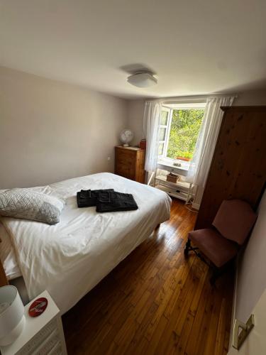 a bedroom with a bed and a chair and a window at Le Nid Douillet in Chirac