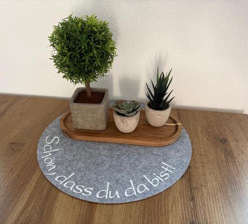 three potted plants on a wooden tray on a floor at Ferienwohnung "Große Auszeit" in Schongau