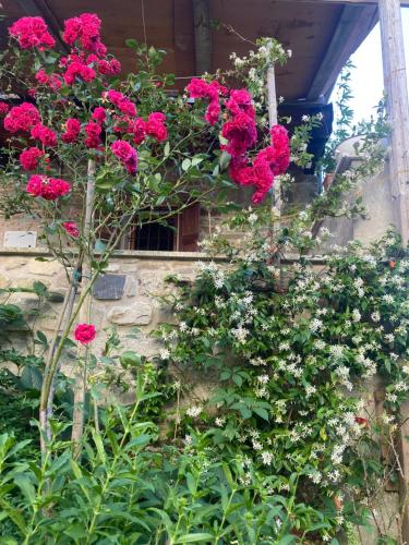a bunch of pink flowers on the side of a building at Il Bagatto B&B in Cavola