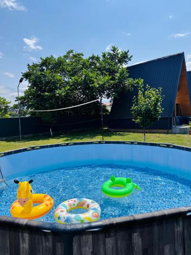 a pool of water with two toys in it at Kakhaberi Cottages in Stantsiya Batumi-Passazhirskaya