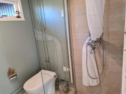 a shower with a toilet and a shower curtain at Lovely Cottage Full Of Holiday Atmosphere in Rødby