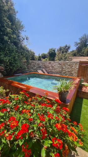 a swimming pool in a garden with red flowers at Perla Di Macchia in Bonifacio