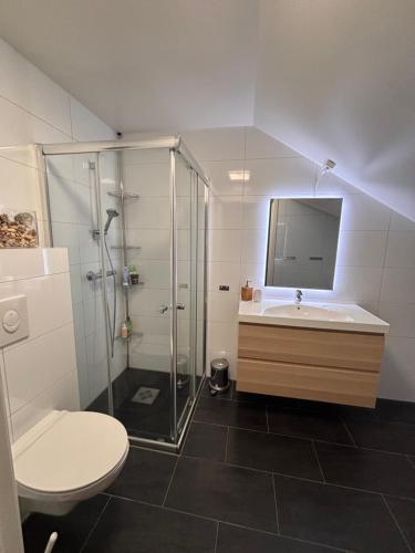 a bathroom with a shower and a sink and a toilet at Cozy Scandinavian Retreat in Sola