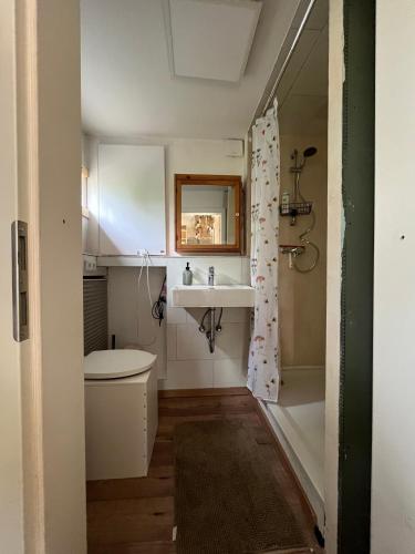 a bathroom with a sink and a toilet at Große Auszeit im Tiny House in Schashagen