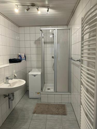 a bathroom with a shower and a sink at Ferienwohnung Zweinig 06 in Zweinig