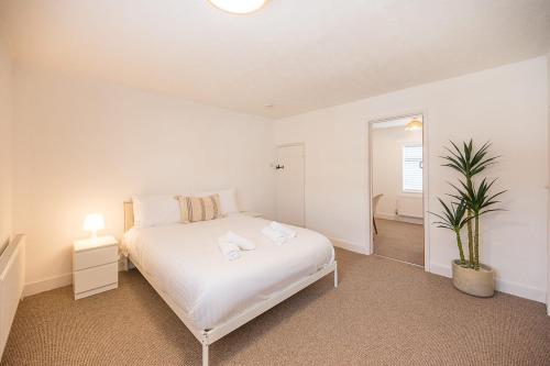 a bedroom with a white bed and a potted plant at 10 Northgate, Beccles in Beccles