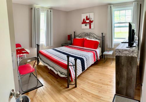 a bedroom with a bed with red pillows and a television at Gite Nycole in Perce