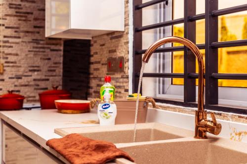 a kitchen sink with a bottle of detergent on it at Leaves & Stones in Kwedonu