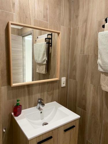 a bathroom with a white sink and a mirror at Hébergement Citabelle in Dinant