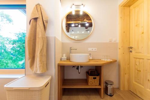 a bathroom with a sink and a mirror at Ferienhaus Sterzhansl in Pongratzen