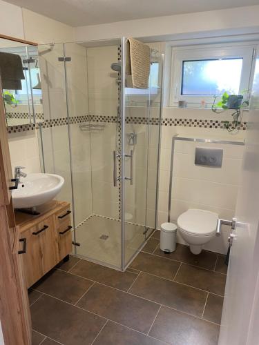 a bathroom with a shower and a toilet and a sink at Ferienwohnung Sollingseck in Dassel
