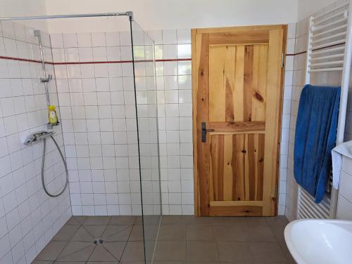 a bathroom with a shower with a wooden door at Alte Dorfschule Sacro in Sacro
