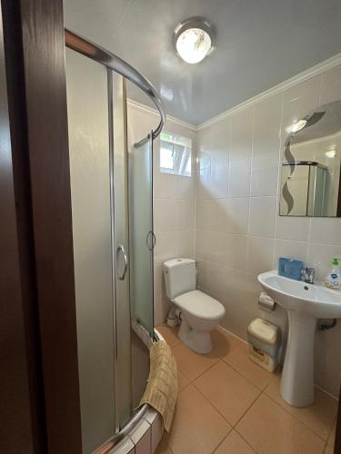 a bathroom with a shower and a toilet and a sink at Hotel Dudarik in Kosiv