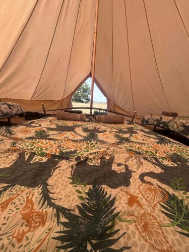 Gallery image of Kennedy Glamping in West Putford