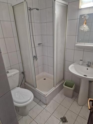 a bathroom with a shower and a toilet and a sink at Casa Ursilor in Predeal