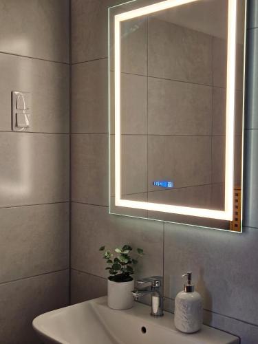 a bathroom with a sink with a mirror and a plant at Templomdomb Apartmanház in Tapolca