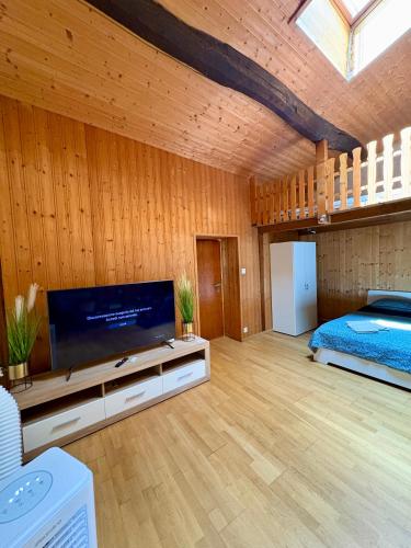 a large living room with a television and a bed at Casa Helvezia in Cadenazzo