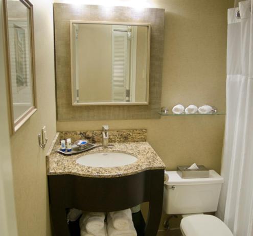 een badkamer met een wastafel, een toilet en een spiegel bij Brent House Hotel in New Orleans