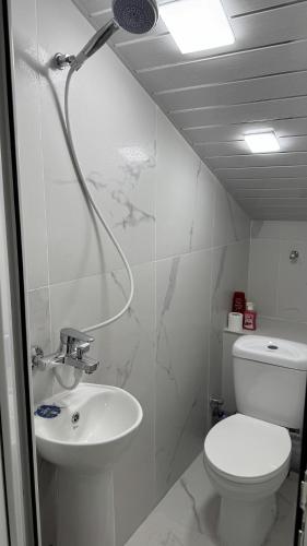 a bathroom with a toilet and a sink at Ava Hostel Yerevan in Yerevan