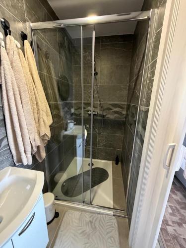 a shower with a glass door in a bathroom at Jetlag Bradić in Velika Gorica