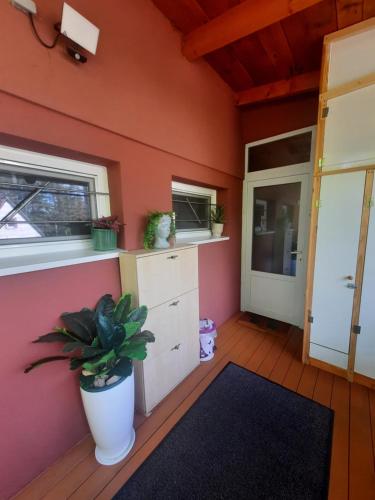 a room with a pink wall and a potted plant at Rika Vendégház in Pécsvárad