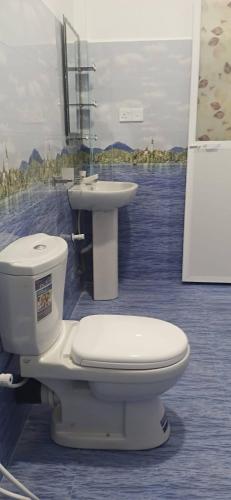 a bathroom with a toilet and a sink at Sivas friendly guest house in Nilaveli