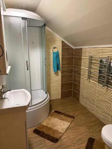 a bathroom with a shower and a toilet and a sink at Колиска Карпат in Slavske