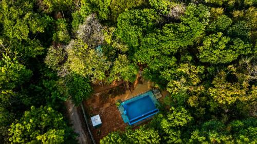 an overhead view of a forest with a blue pond at wood cabin sigiriya in Sigiriya