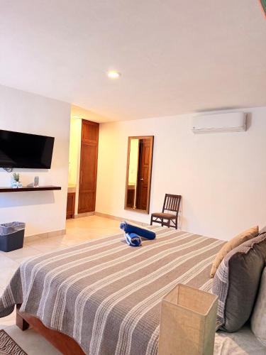 a bedroom with a bed and a tv on the wall at Pedernal Hotel in San Miguel de Allende