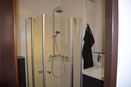 een badkamer met een douche en een wastafel bij Hoffmann's Apartment in der Residenz Bocksbergblick in Hahnenklee-Bockswiese