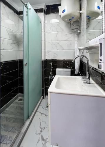 a bathroom with a sink and a green door at Pyramids Giza inn in Cairo