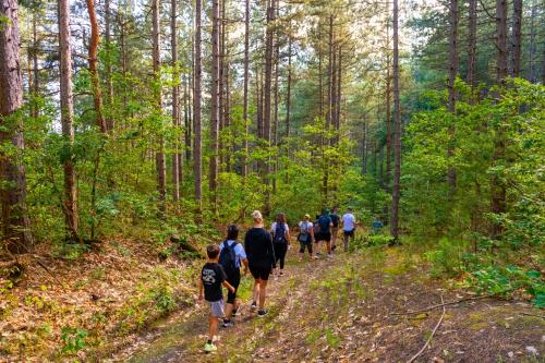 a group of people walking on a trail in the woods at Seosko domaćinstvo Kastratović in Berane