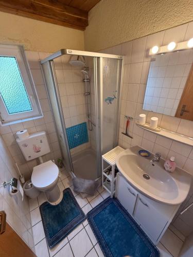a bathroom with a sink and a shower and a toilet at Ruhiges Elbhäuschen nahe Hamburg in Hollern-Twielenfleth