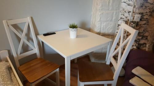 une table et des chaises blanches avec une plante. dans l'établissement Kormoran, à Orzysz