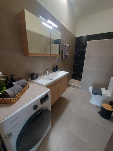 a bathroom with a washing machine and a sink at Dani & Fani suite in Afantou