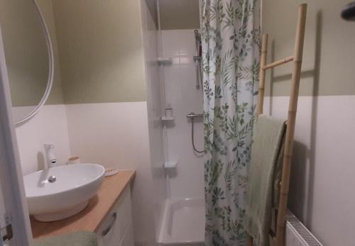 a bathroom with a sink and a shower curtain at Chambre d'hôtes Thé ou Café in Auray