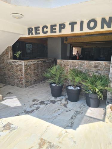a row of potted plants in front of a restaurant at Apartments Mekic in Utjeha