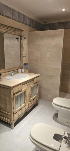 a bathroom with a sink and a toilet at Alojamiento el camarín in Baños de la Encina