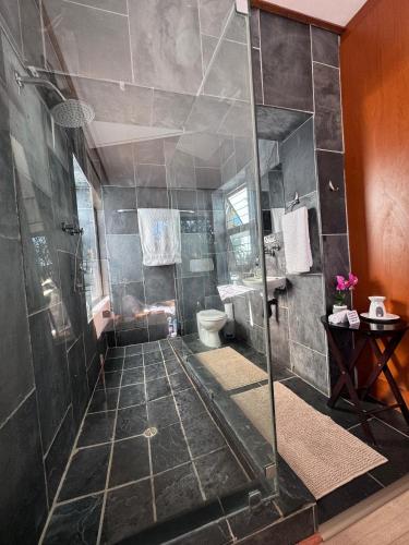 a bathroom with a shower and a toilet at Hidden Gem in George