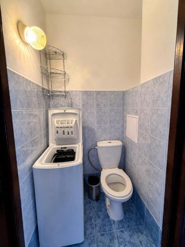 a small bathroom with a toilet and a sink at Apartnám Harmony in Martin